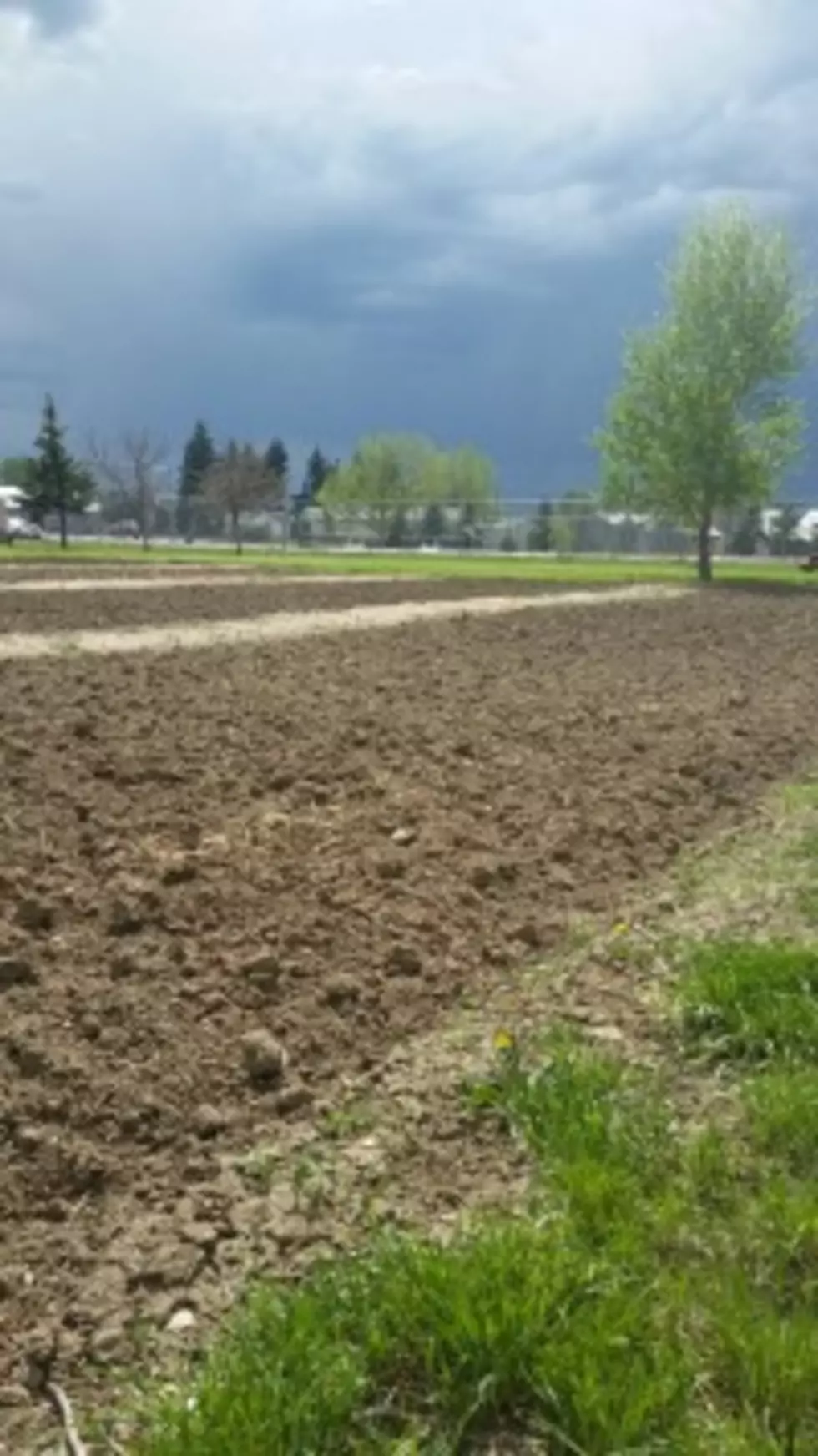 Cut Bank Community Garden is ready for Planting