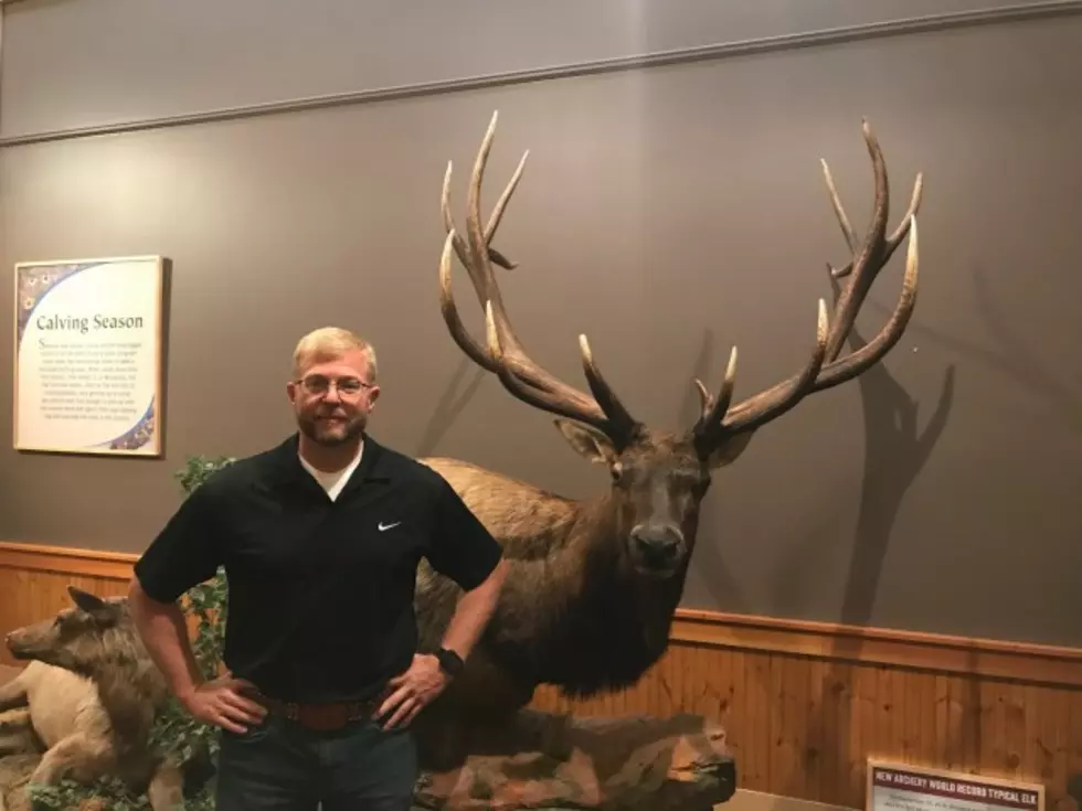 Record Elk on Display at Rocky Mountain Elk Foundation Headquarters