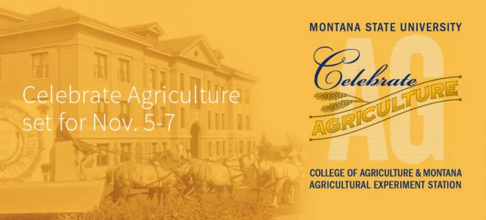 Celebrate Agriculture: Politics and agricultural resiliency topic of Nov. 9 annual MSU economics conference