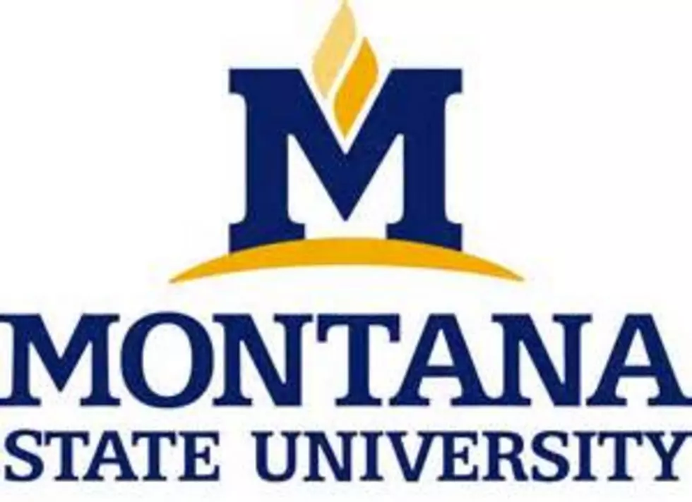 MSU/MTN poll finds Gianforte leads in Montana U.S. House race