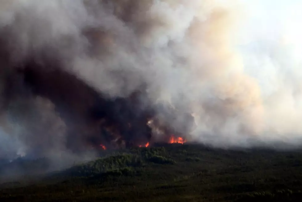 UM Researchers Study Alaska Forest Fires Over Past 450 Years