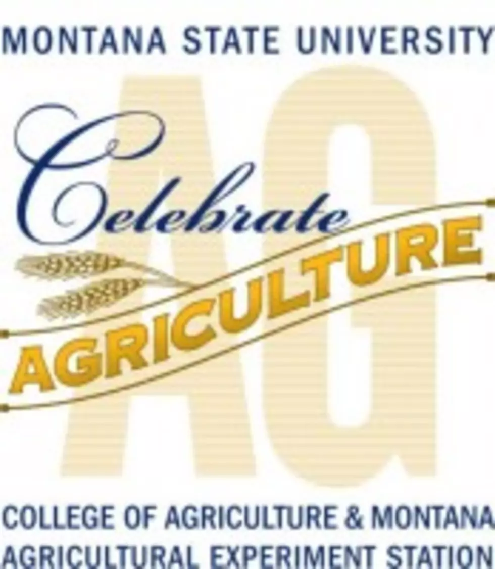MSU College of Agriculture seeks nominations for outstanding leaders