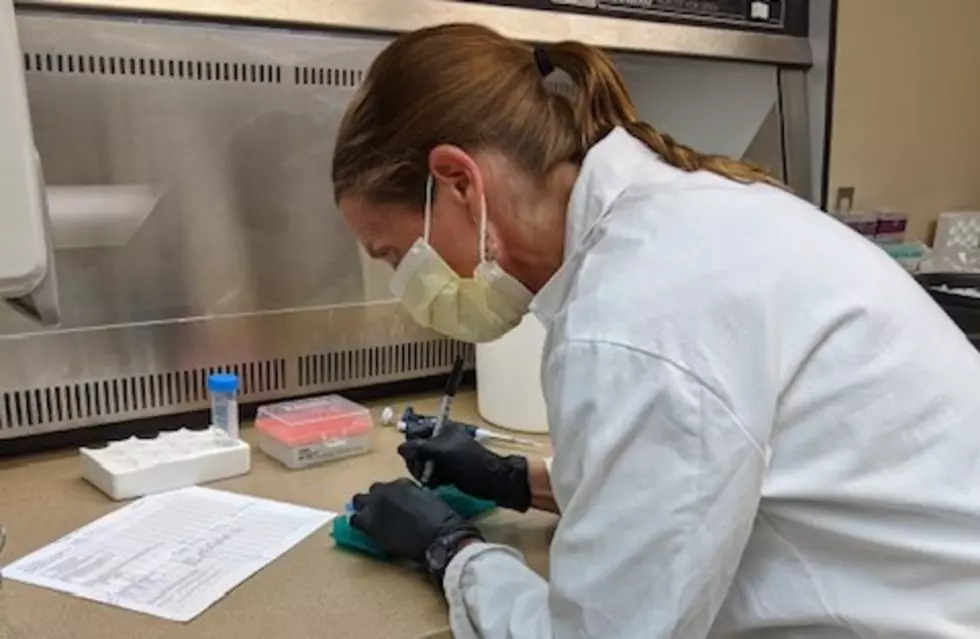 MSU Research Equipment and Expertise Repurposed to Help Diagnose, Research Coronavirus