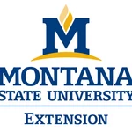 MSU Extension to offer weekly webinars about the coronavirus and its effects on the economy