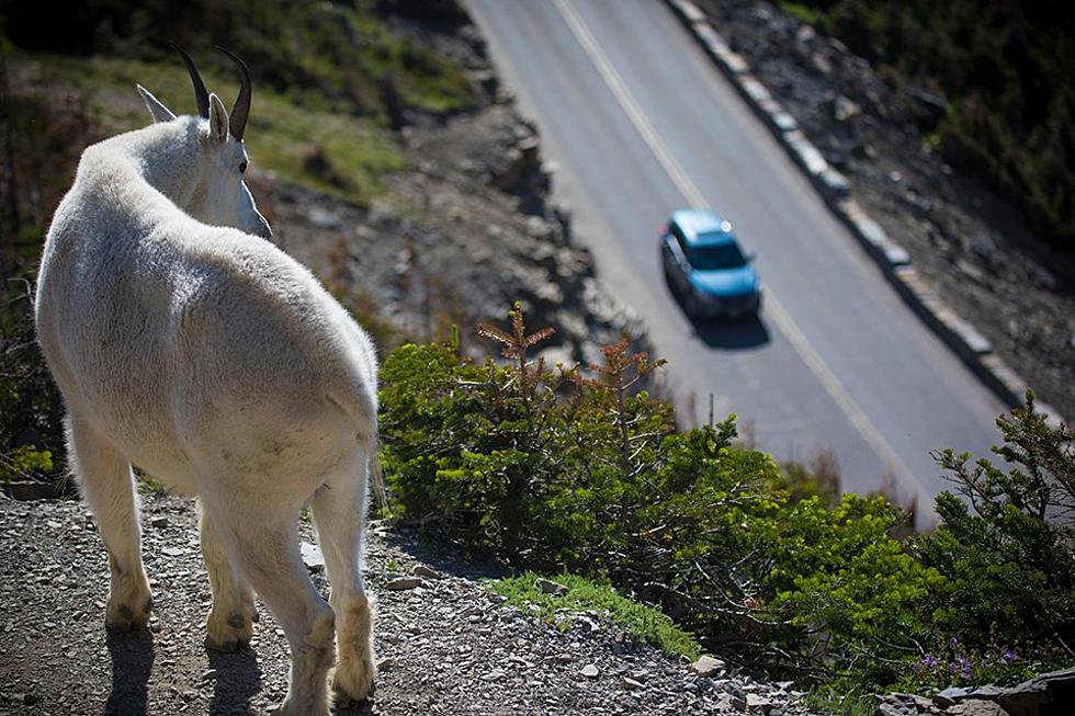 You’ll Need a Reservation to Drive Going-to-the-Sun Road This Summer