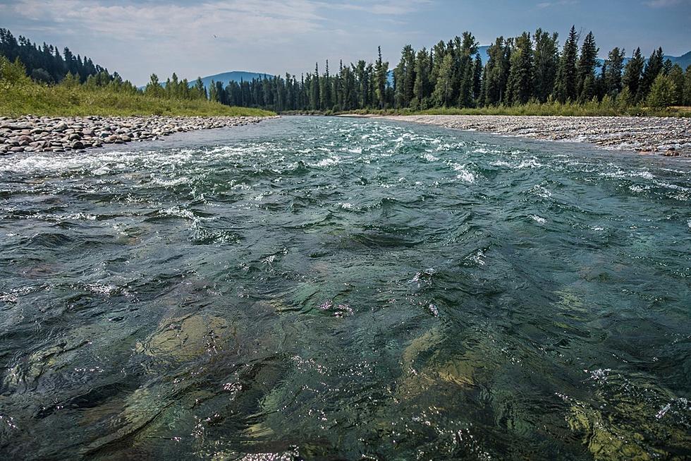 Volunteers Needed for Cleanup on Three Forks of the Flathead Wild and Scenic River   