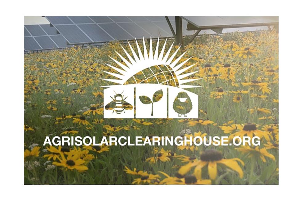 NCAT Launches Nation’s First AgriSolar Clearinghouse
