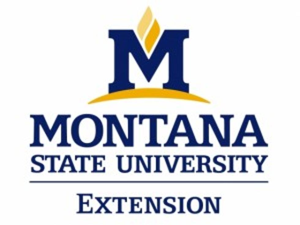 MSU Extension Wants to Connect with Pulse Crop Growers