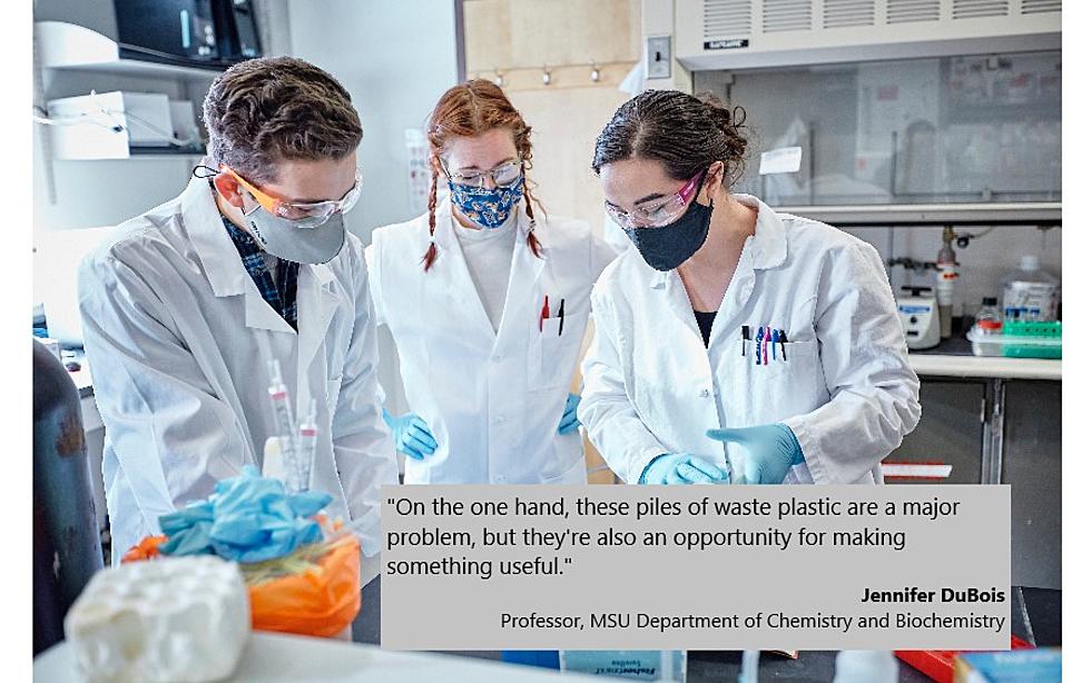 MSU Researchers Advance Microbial Plastic Recycling in New Study