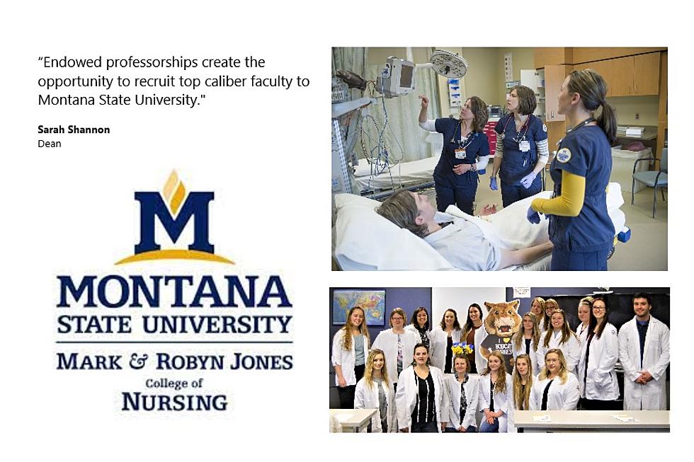 MSU Nursing College for Five New Endowed Professorships