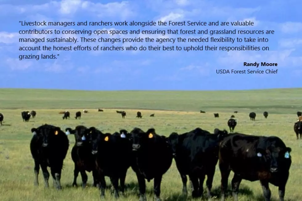USDA Forest Service Issues Rangeland Management Rule Change for Unauthorized or Excess Grazing
