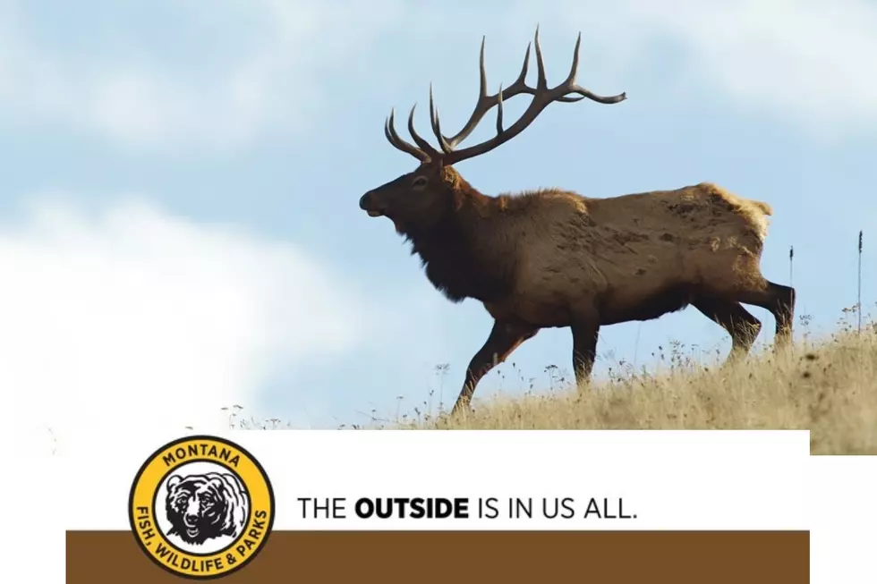 Sign-up Opens for Elk Hunting Access Agreements Public Hunter Lists