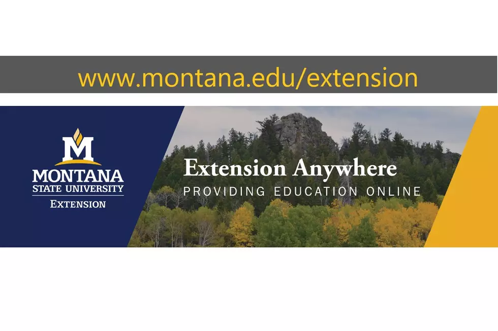 MSU Extension Service Has a New URL