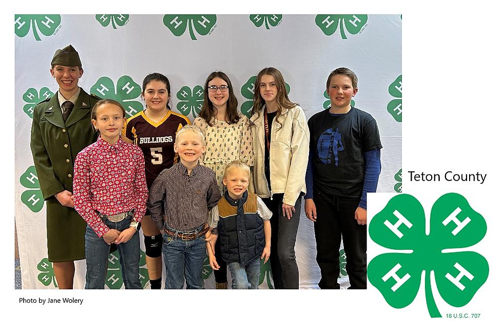 Teton County 4-H Members Learn by Doing