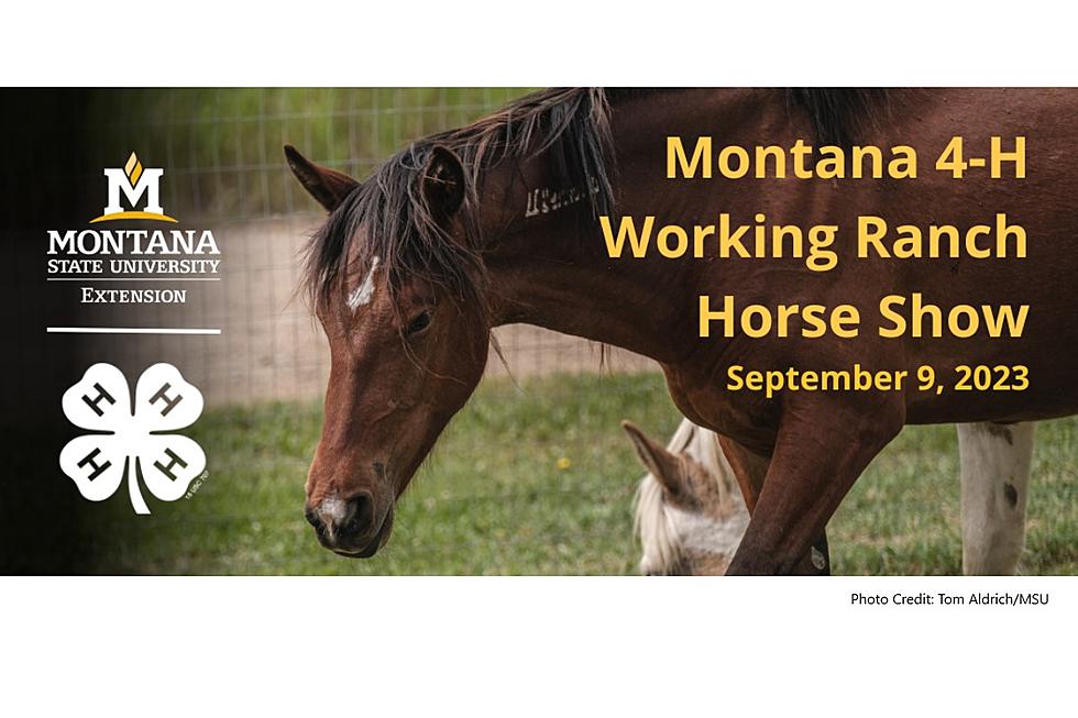 Montana 4-H Working Ranch Horse Show Set for Sept. 9 in Vaughn