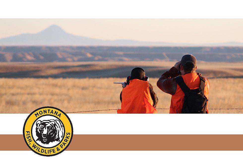 FWP: Online Hunter Education will Require Field Day As Of Jan. 1
