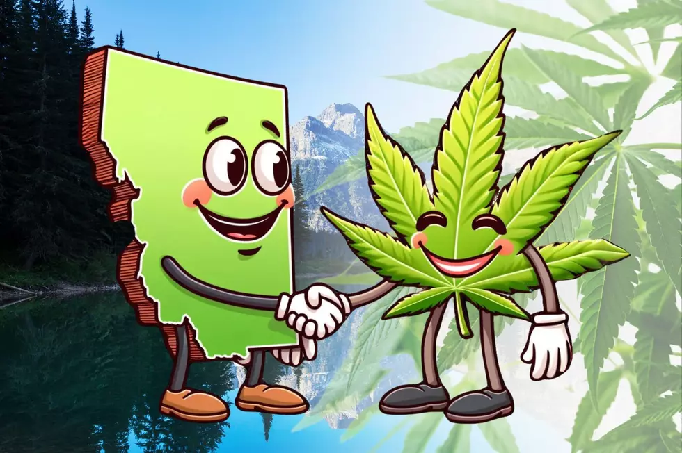 The Surprising Profitable Relationship Between Weed And Montana