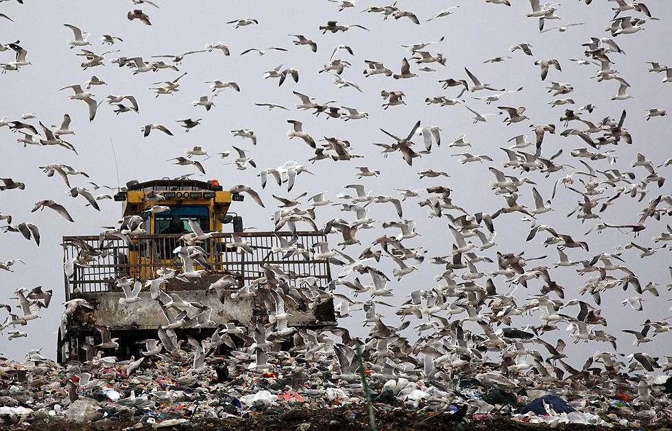 Time To Muck? What You Can Bring To Butte Landfill