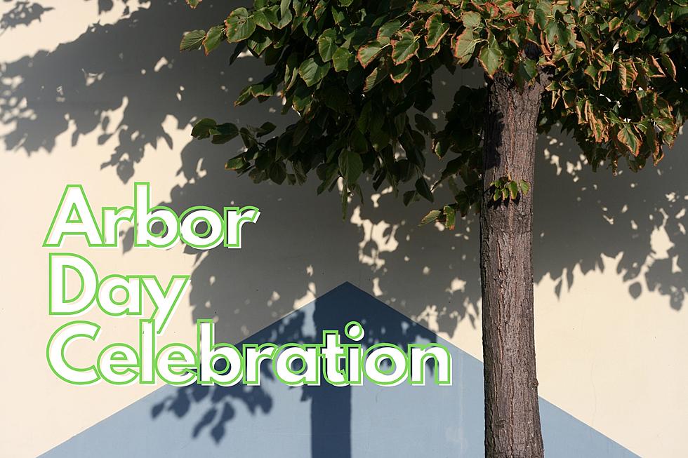 Arbor Day Event Coming Up Next Friday In Butte