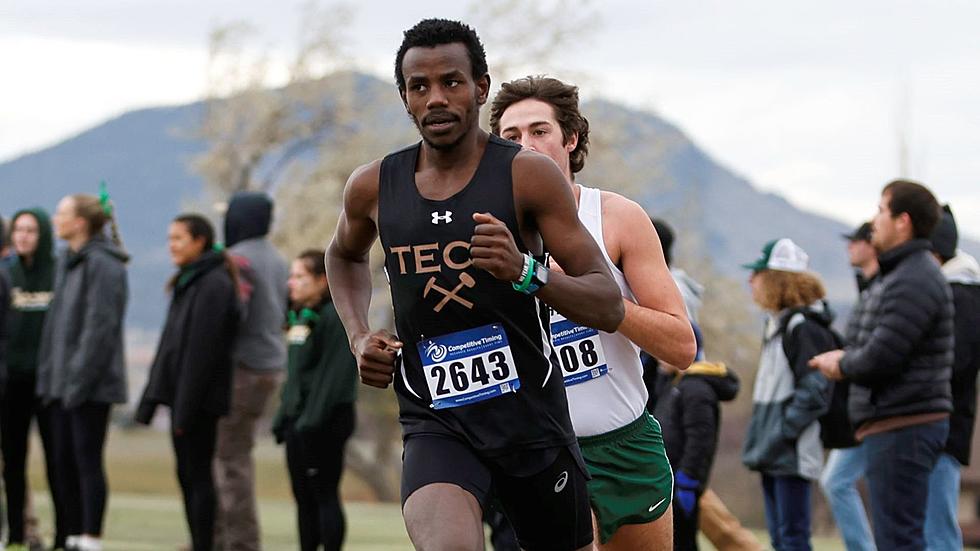 Orediggers picked to finish second in Frontier Mens and Womens Cross Country