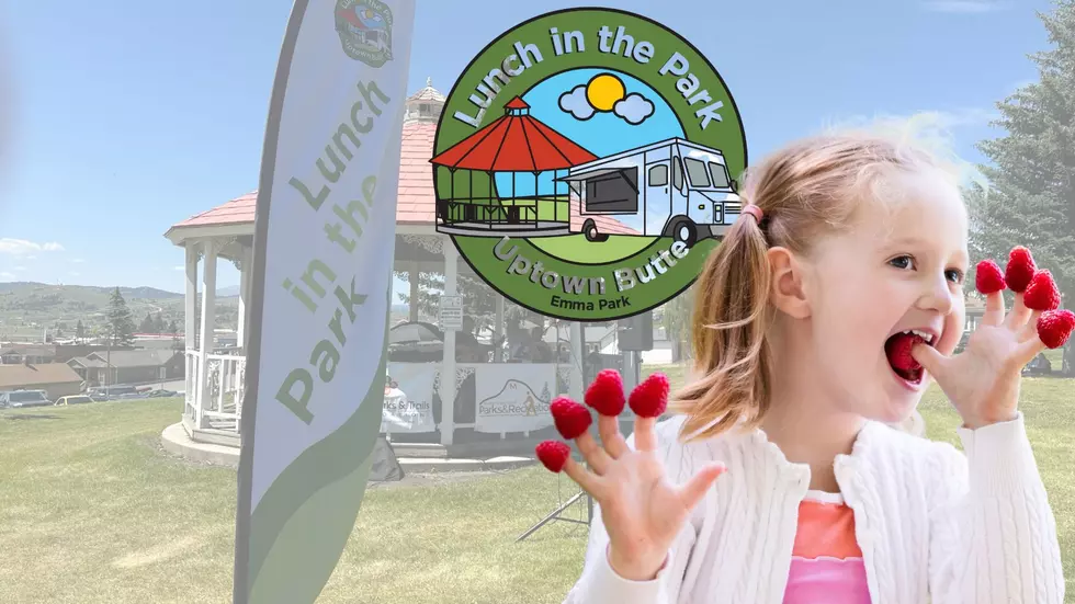 Emma Park's Lunch In The Park: Summer Event With Local Flair