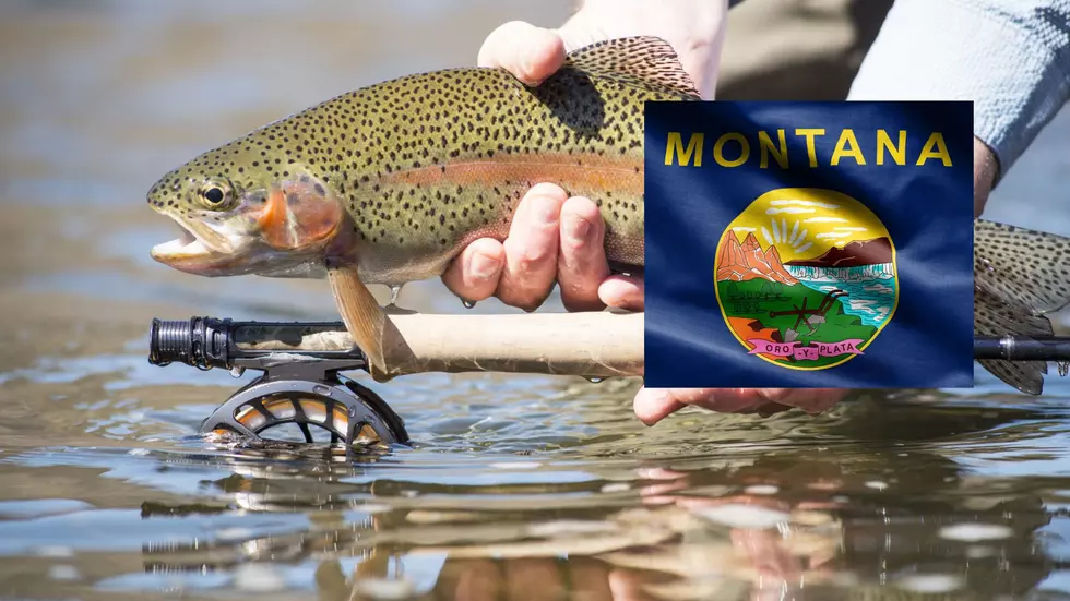 Southwest Montana Fishing Restrictions in Effect