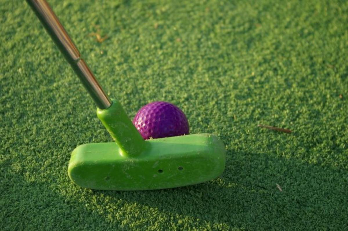 Family-Friendly Mini Golf In Anaconda's Goosetown Health Club