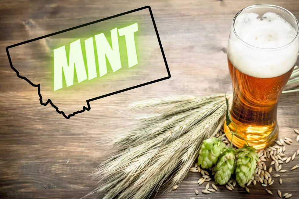 How many “Mint Bar” bars are there in the state of Montana?