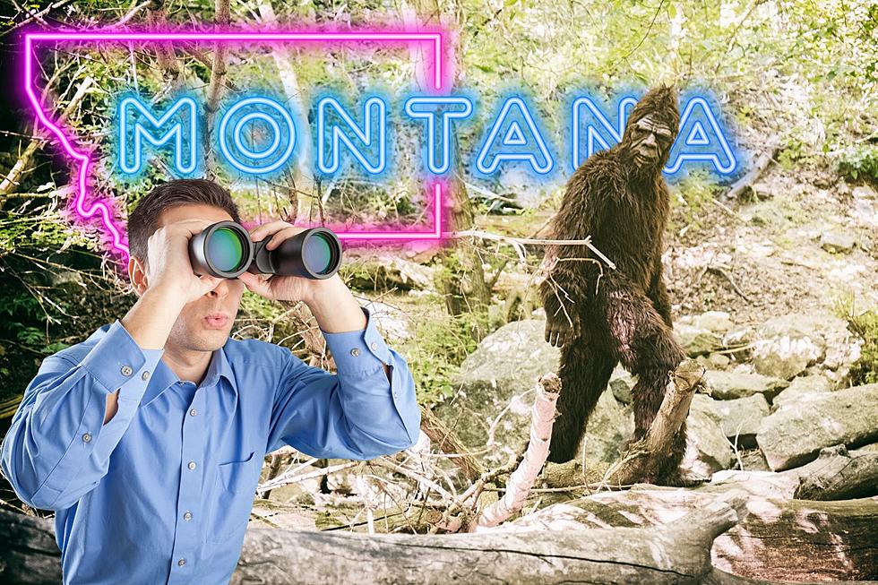 See The Ranking Of Montana Counties By Rare Bigfoot Sightings