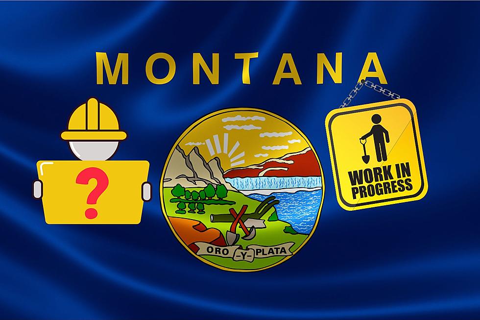 Is The Montana State Flag In Need Of A Redesign?