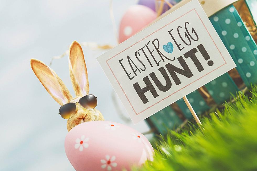 See Pictures Of The Fantastic City Of Great Falls Easter Egg Hunt