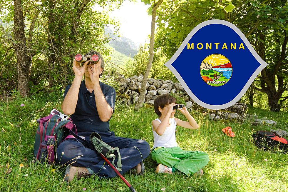 Bird Watching In Montana, Can You Guess What One You&#8217;ll See Most?