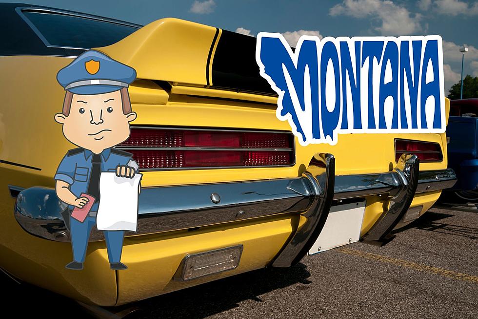 Have one of these on your car? You could get a ticket in Montana