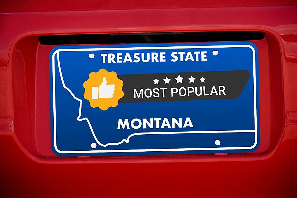 10 Most Popular Sponsored Montana License Plates For 2023