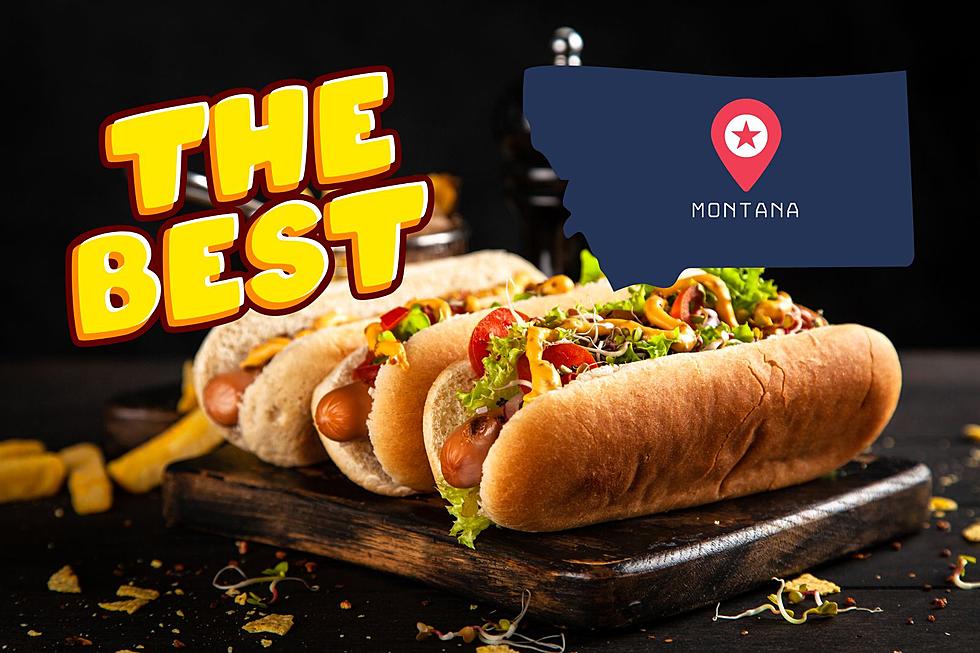 Get A Gourmet MT Hot Dog At One Of The Best Stands In America