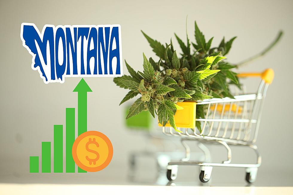 Montana Marijuana Sales Not Stopping; Have The Best Month Ever In July