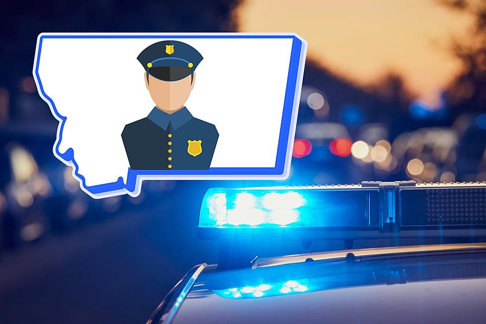 3 Helpful Reasons Why Montana Police Touch Your Car When Stopped