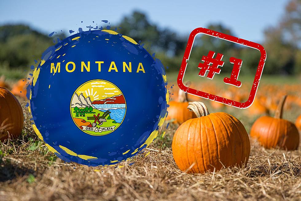 Montana Pumpkin Patch Honored As One Of The Best In America