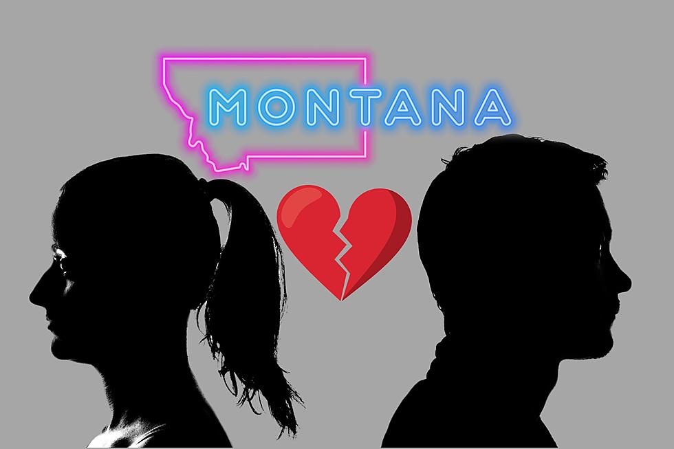 What Are The Five Reasons For Divorce In Montana?