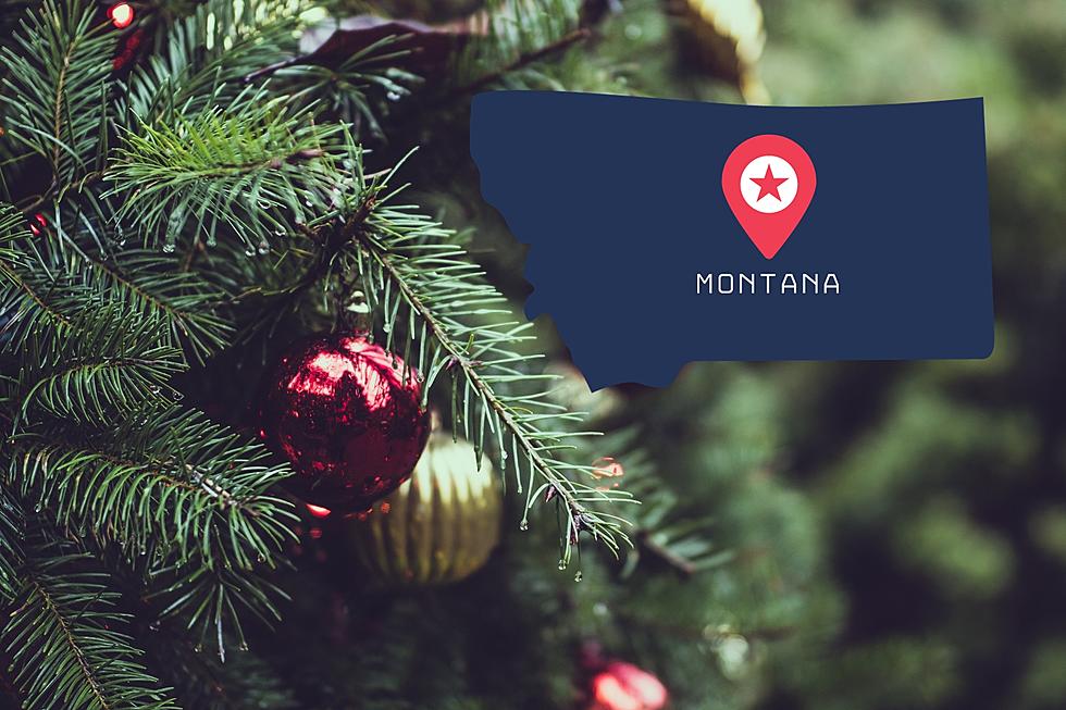 Montana Was Once The Christmas Tree Capital Of The World