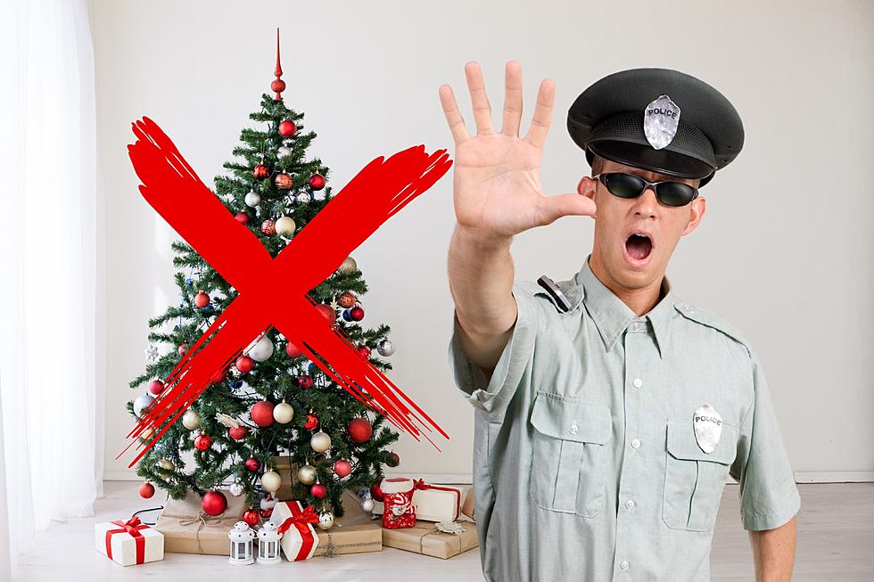 The Feds Outlawed A Popular Christmas Decoration In Montana