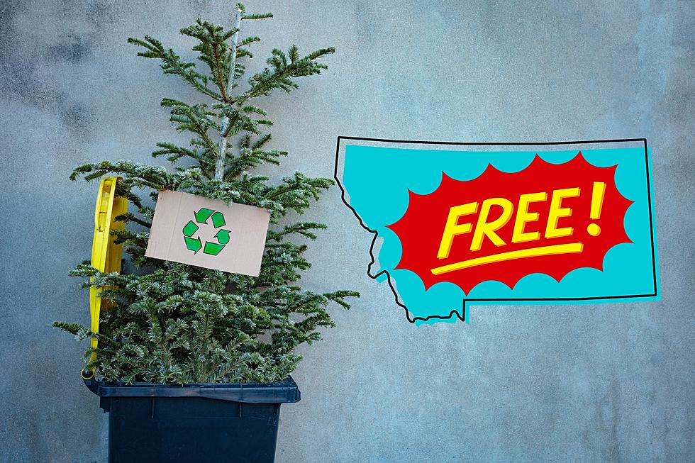 The Truth About Recycling Your Christmas Tree In Montana