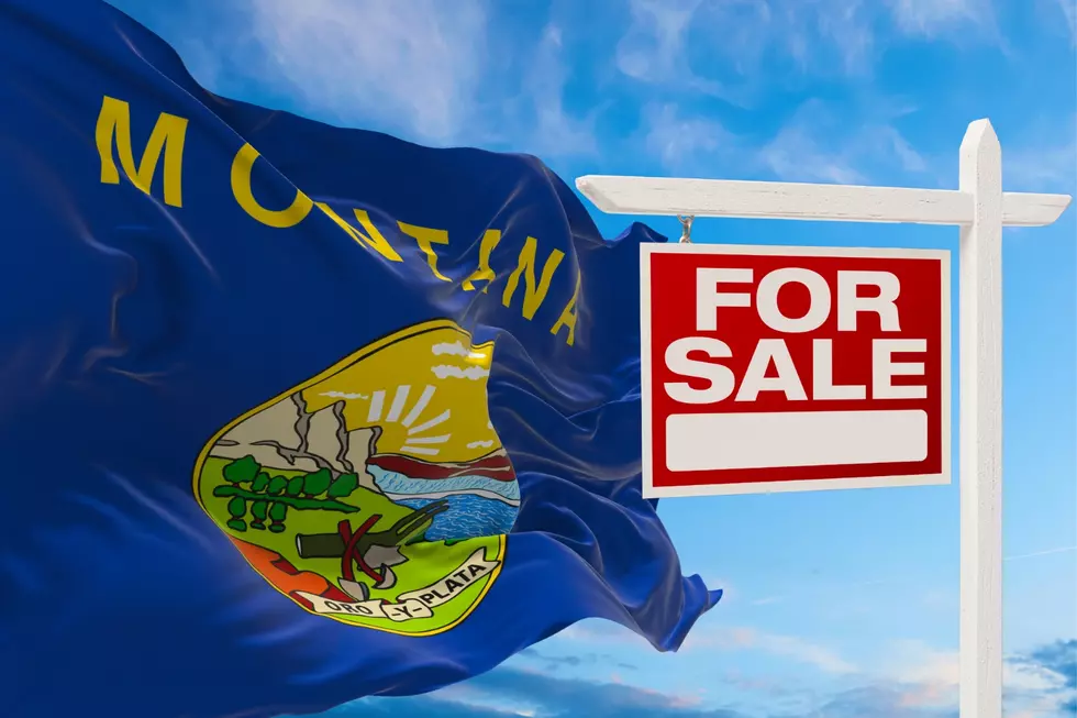 The montana flag flaps in the wind while a for sale sign is next to it
