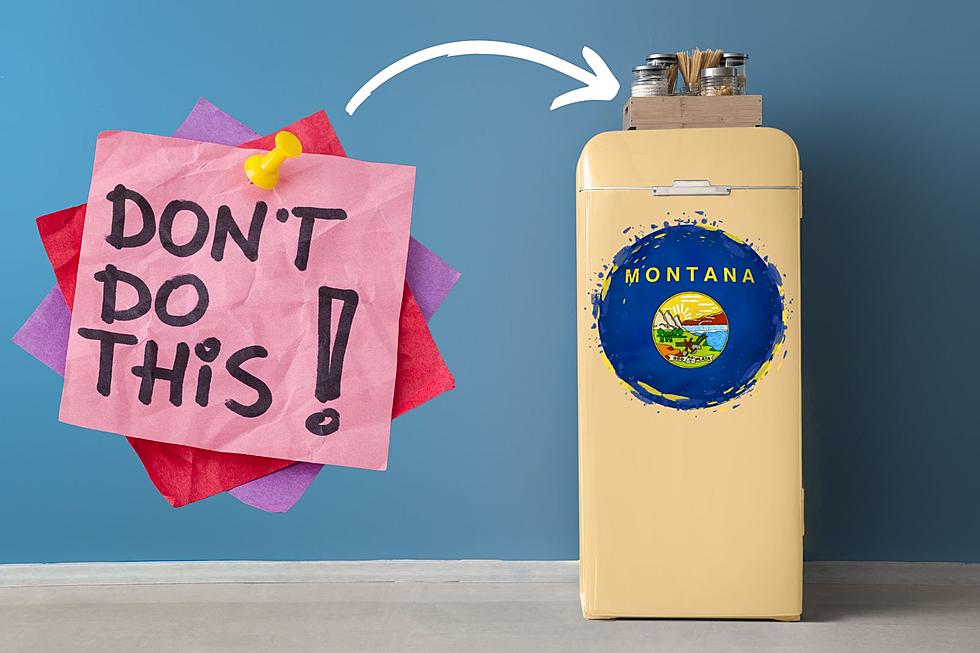 11 Simple Items That NEVER Belong On The Top Of Your Fridge In MT