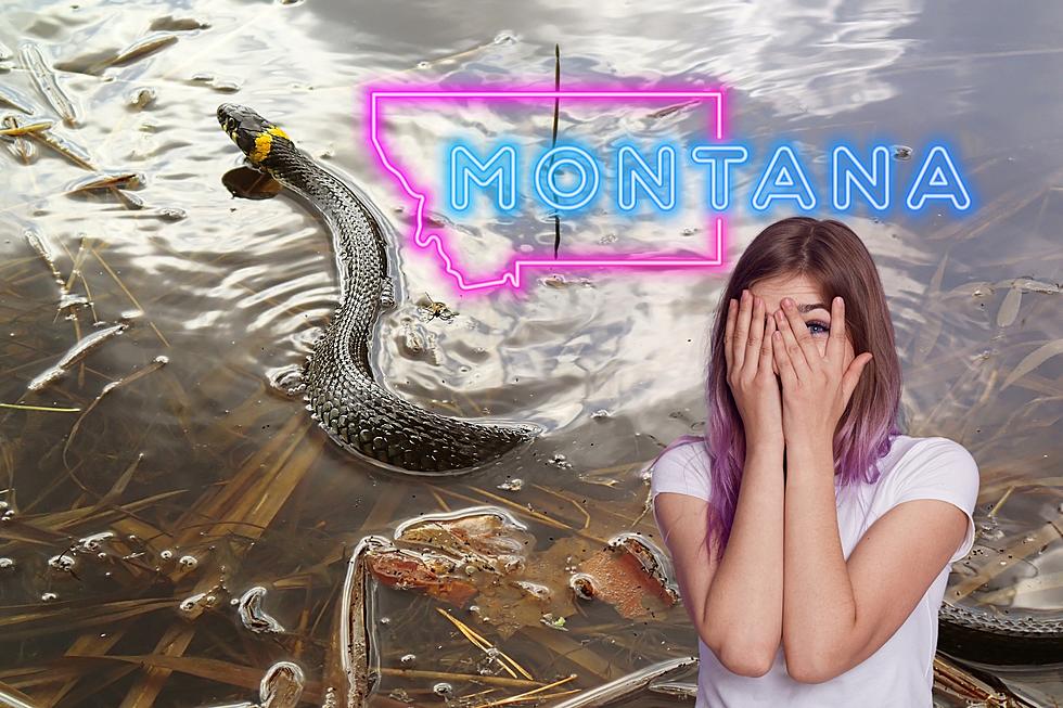 Scary: It&#8217;s The Most Snake Infested Lakes In Montana