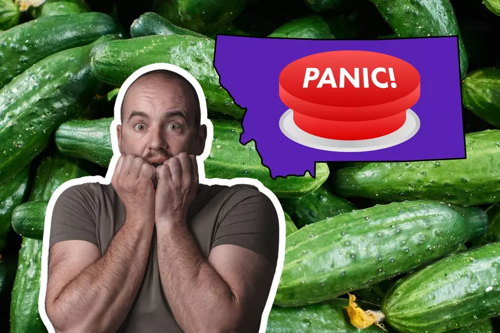 Suddenly Smelling Cucumbers In Your Montana Home Means Panic