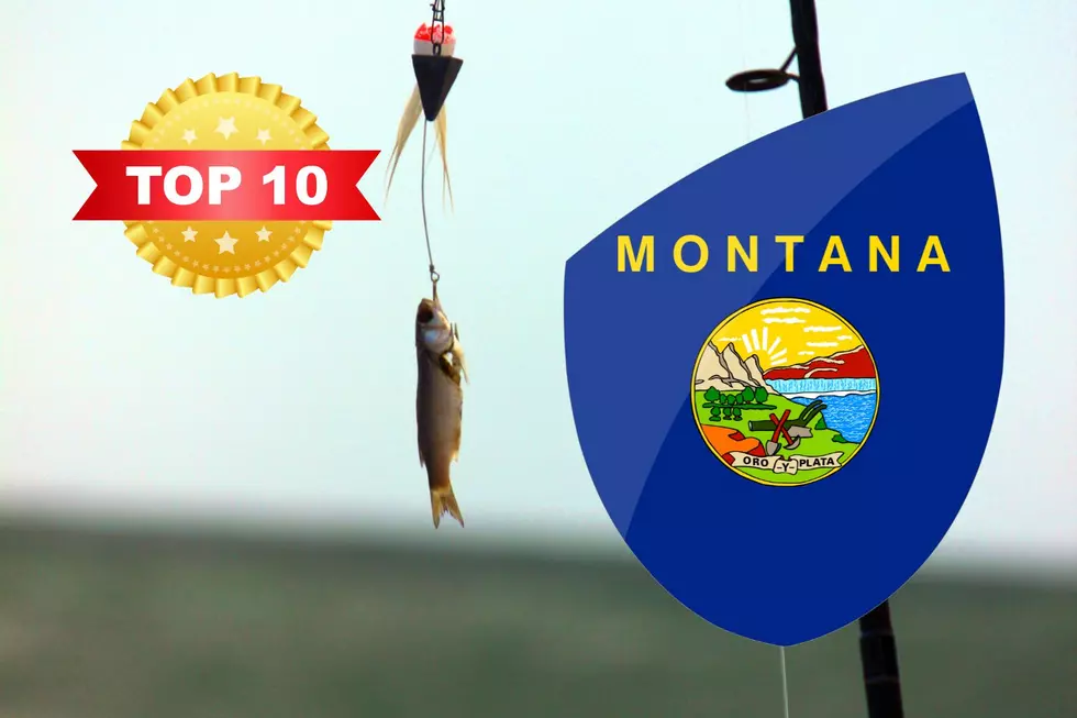 See The Top 10 Largest Fish Caught In Montana