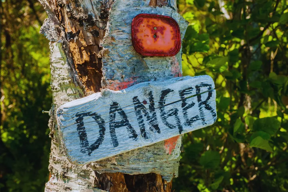 A wood sign with danger written on it nailed to a tree trunk