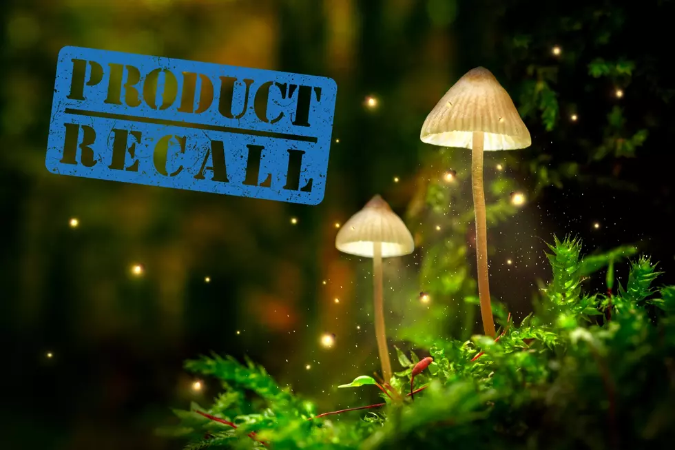 Magic Mushroom Candy Recalled In Montana After Making People Sick