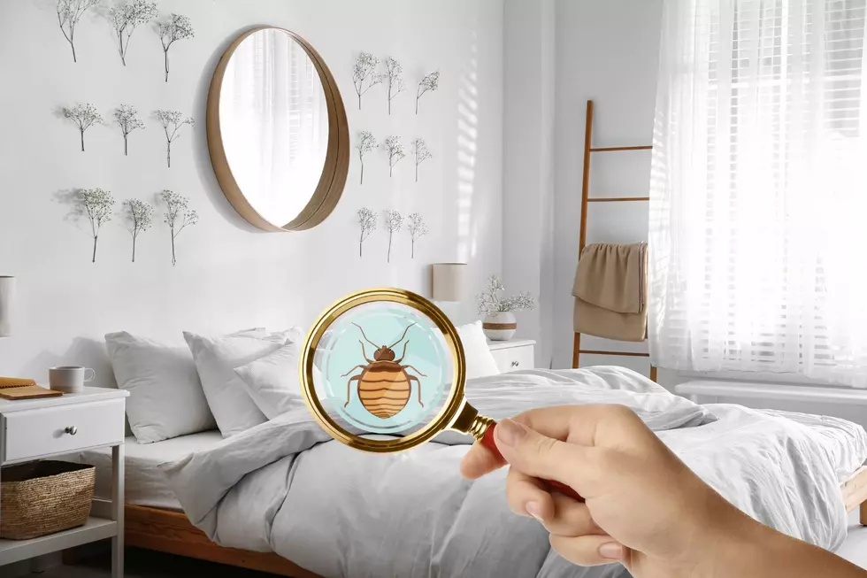 A hotel room with somone holding a magnifying glass up and a graphic bed bug in the middle of it